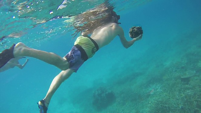 vlcsnap-2d016-10-13-01h07m55s287