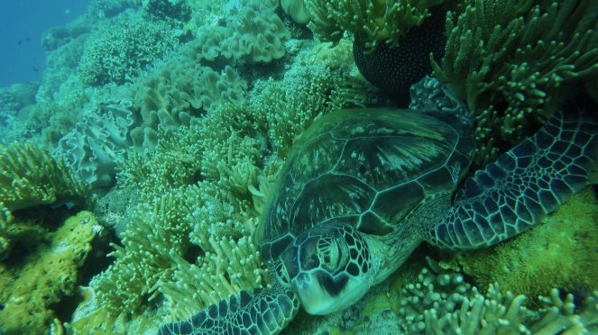 vlcsnap-2016-12-19-21hk43m38s746