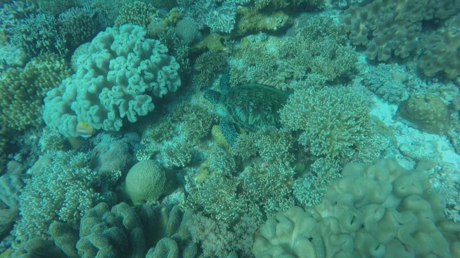 vlcsnap-2016-12-19-21kkh49m36s168